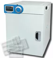 Forced Air incubator, type SWIF-105, 105 L, 4" full touchscreen, timer: 99h59min, 5°C oC to +70°C