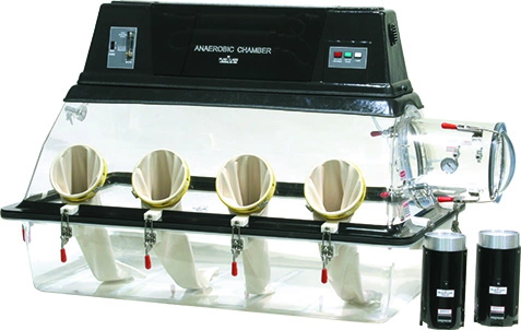 855 ACB Anärobe Glovebox